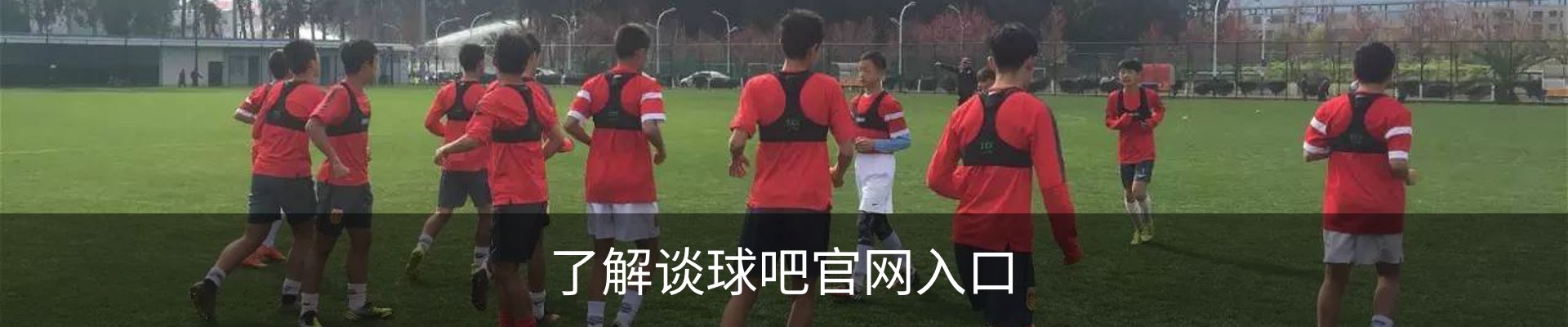 了解谈球吧官网入口